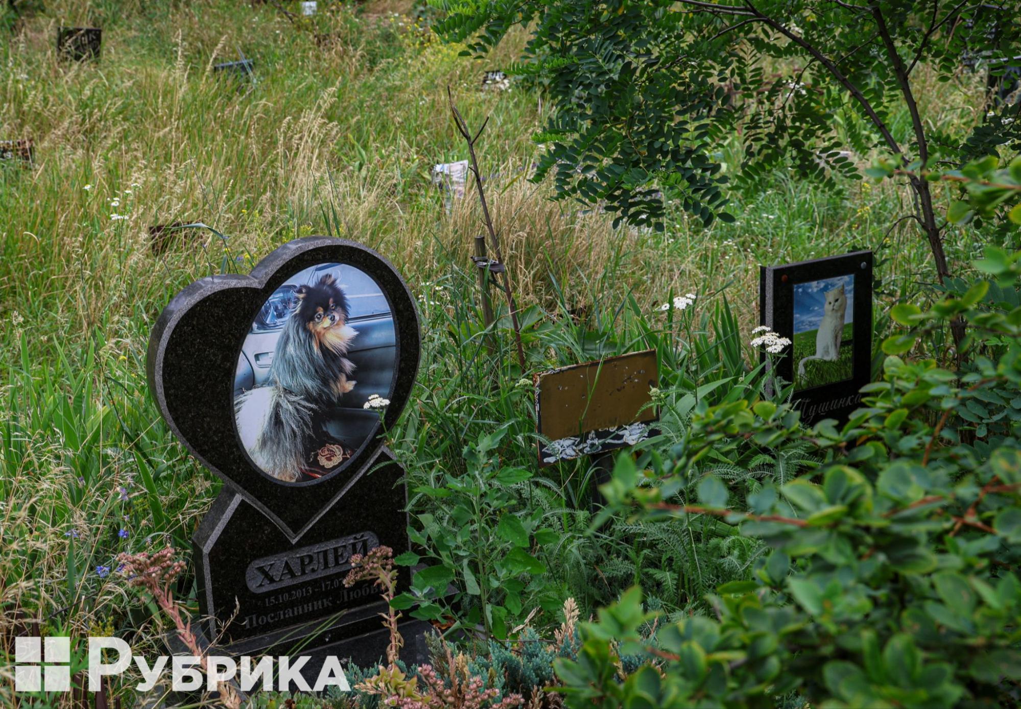Кладовища для домашніх тварин у Києві