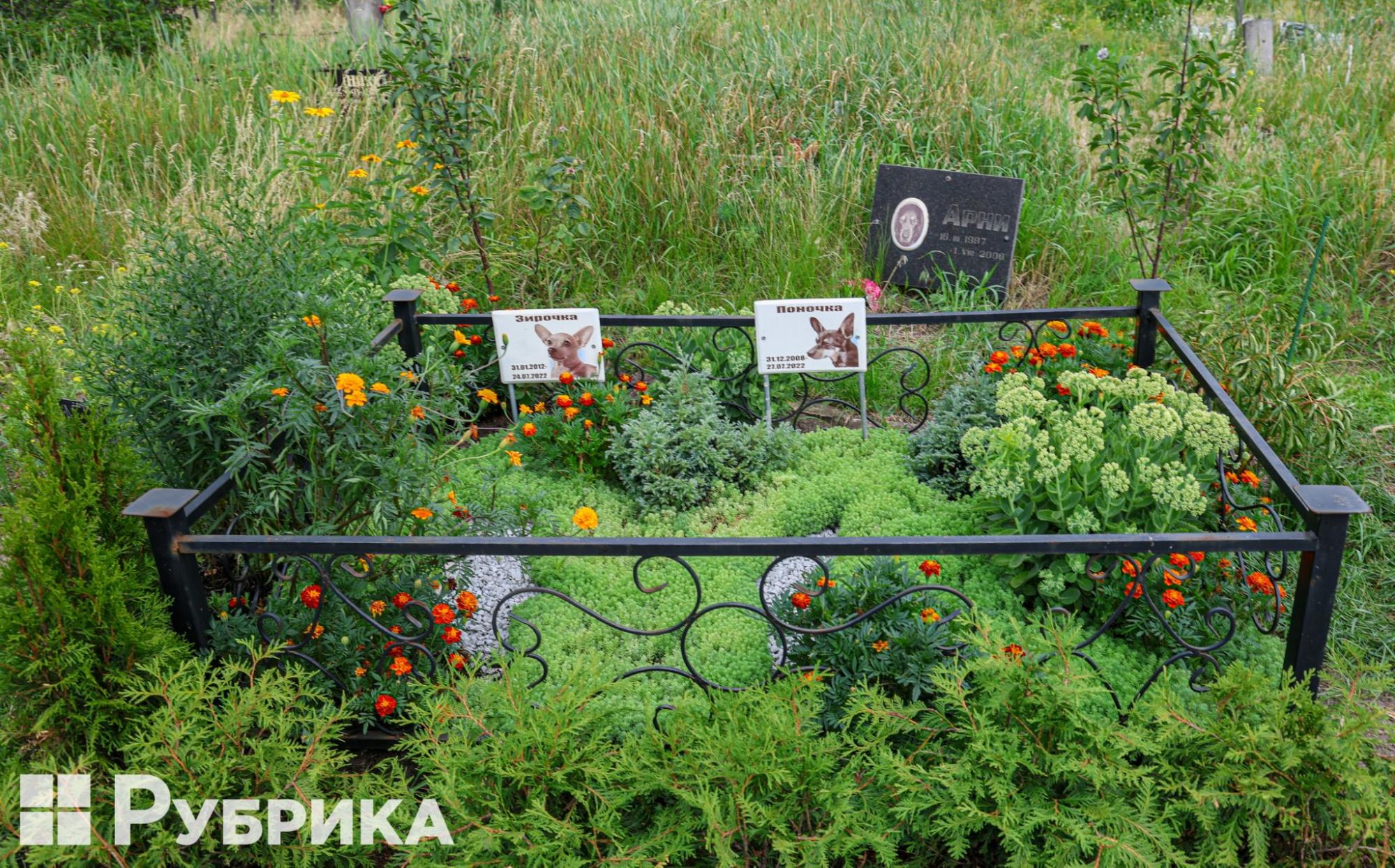 Кладовища для домашніх тварин у Києві